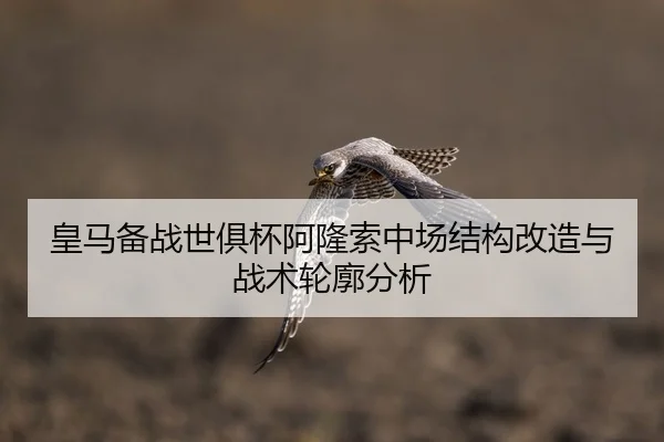皇马备战世俱杯阿隆索中场结构改造与战术轮廓分析