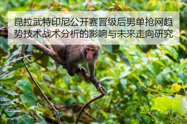 昆拉武特印尼公开赛晋级后男单抢网趋势技术战术分析的影响与未来走向研究